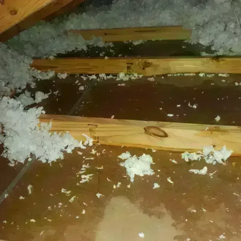 Attic Water Damage in Woodbury, TN