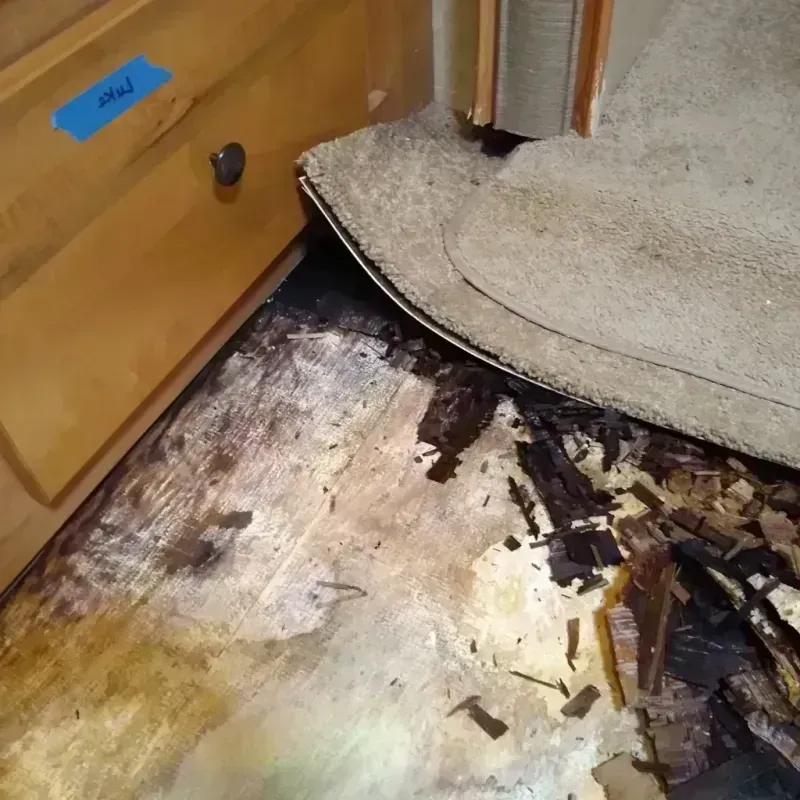 Wood Floor Water Damage in Woodbury, TN